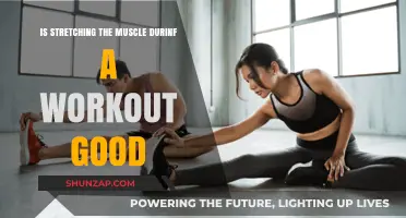 Boost Your Workout: The Benefits of Muscle Stretching Explained