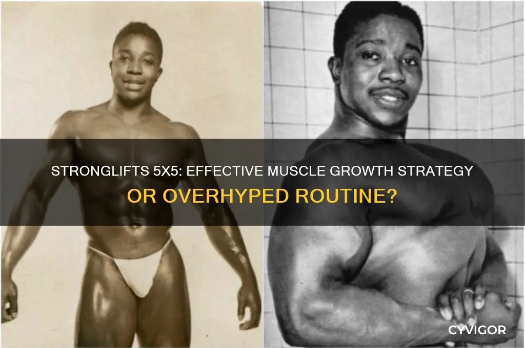 is stronglifts 5x5 effective for growing muscle
