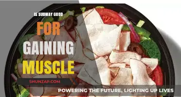 Can Subway Subs Fuel Your Muscle Gain Goals Effectively?