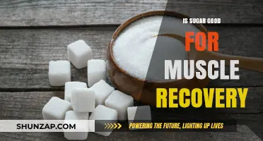 Sweet Recovery: The Role of Sugar in Muscle Repair and Growth