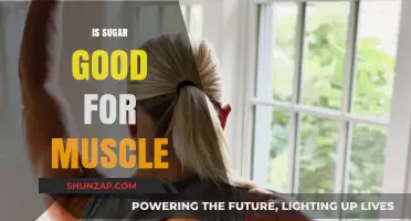 Sweet Gains: The Surprising Truth About Sugar and Muscle Growth