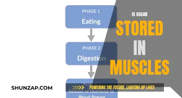 Muscle Sugar Storage: Fact or Fiction?