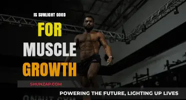 Unveiling the Power of Sunlight in Boosting Muscle Growth