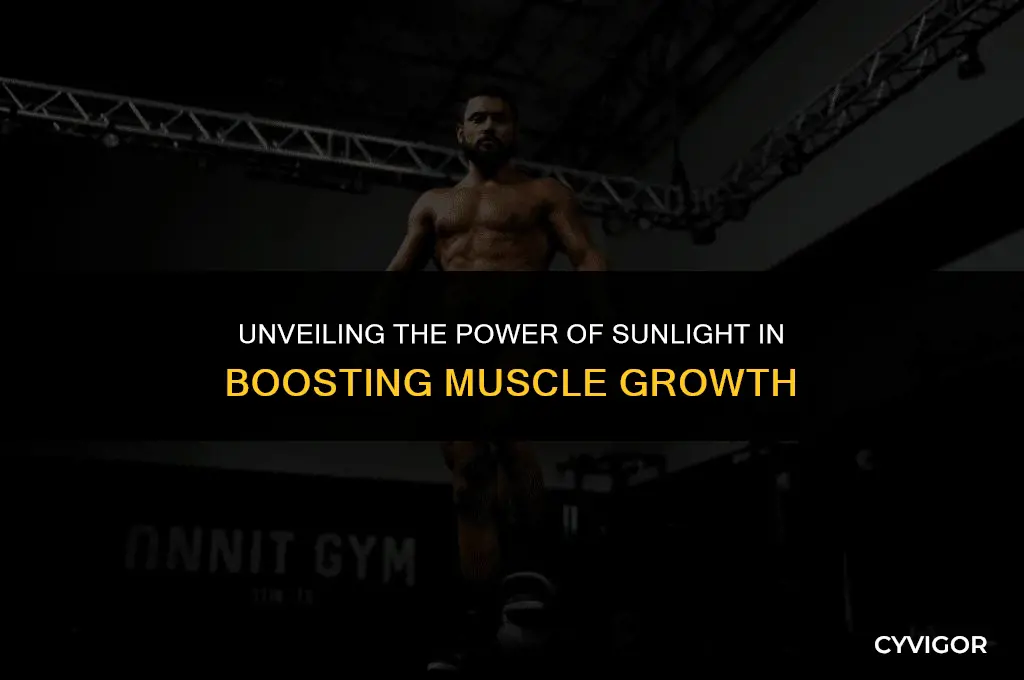 is sunlight good for muscle growth