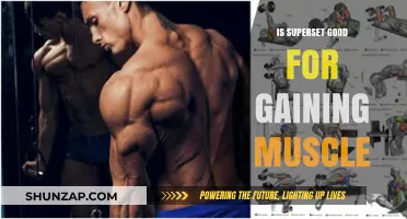 Superset Training: Effective Muscle-Building Strategy or Just a Fad?