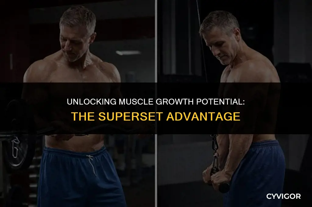 is superset good for muscle growth