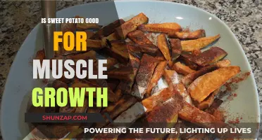 Unleashing Muscle Growth: The Surprising Benefits of Sweet Potatoes