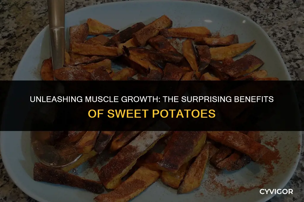is sweet potato good for muscle growth