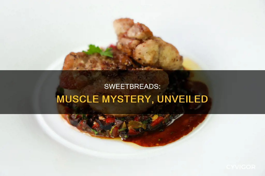 is sweetbreads a muscle