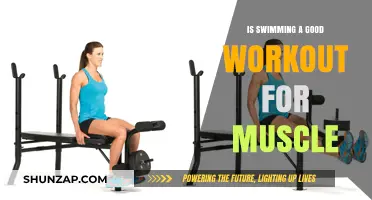 Dive Into Fitness: Unpacking the Muscle-Building Benefits of Swimming
