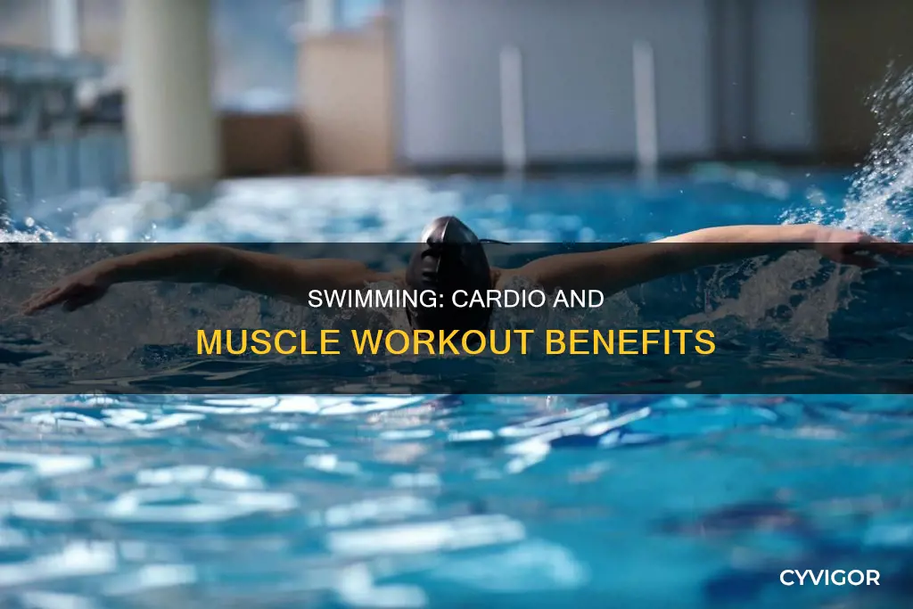 is swimming cardio or muscle