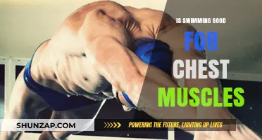 Dive into Strength: How Swimming Sculpts Your Chest Muscles