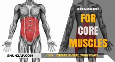 Dive into Strength: How Swimming Sculpts Your Core Muscles