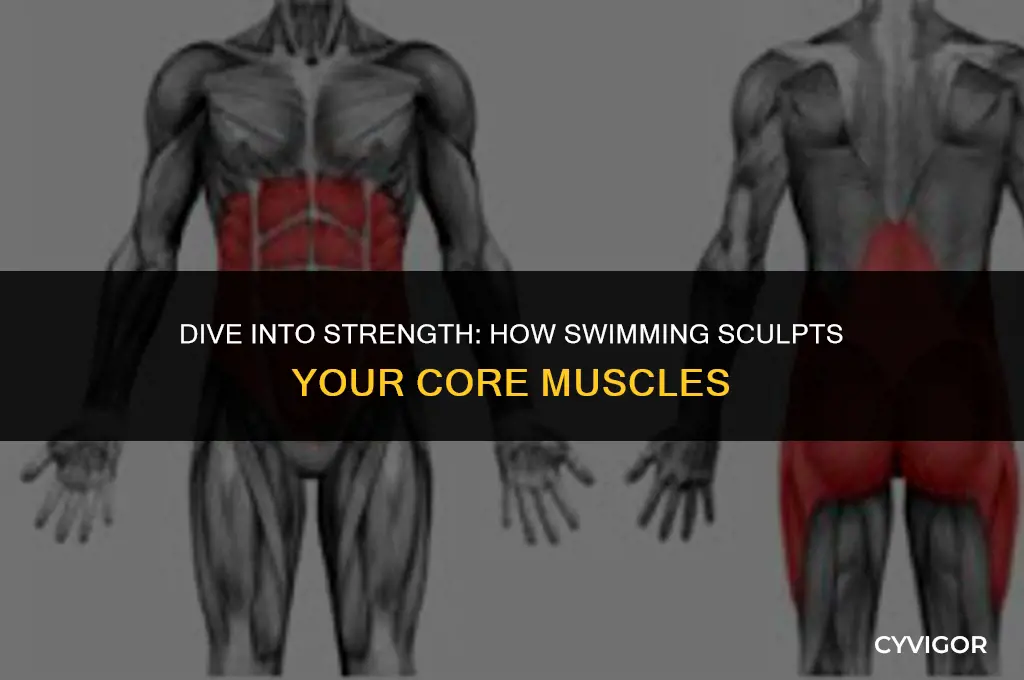 is swimming good for core muscles