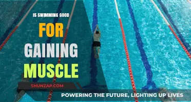 Swimming for Muscle Gain: Effective Workout or Just Cardio?