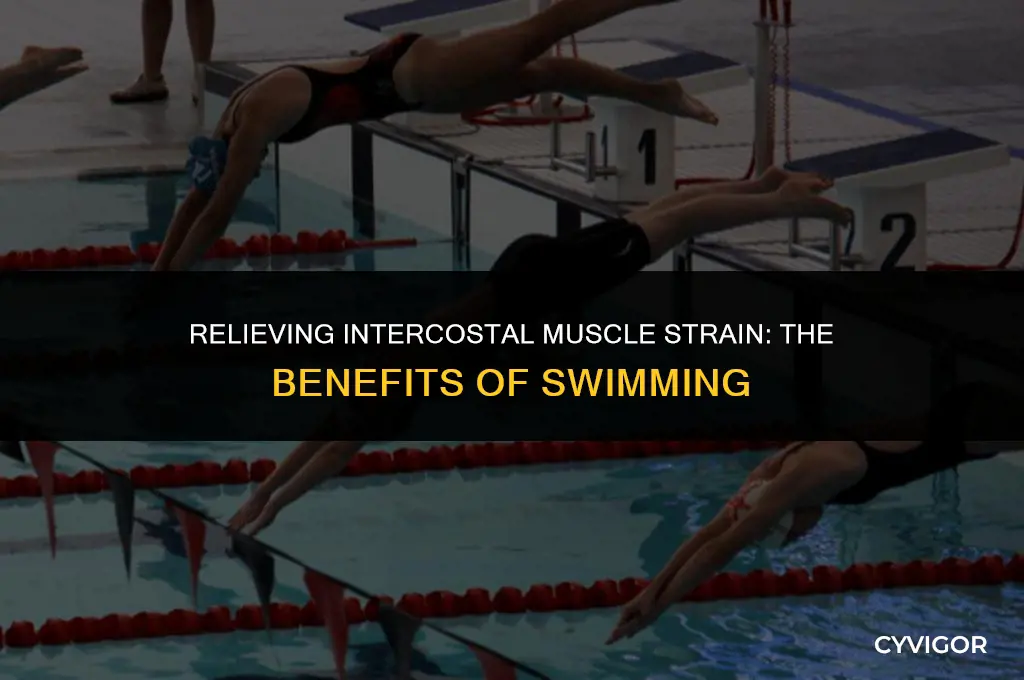 is swimming good for intercostal muscle strain