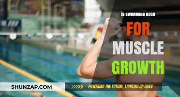 Dive into Growth: How Swimming Sculpts Your Muscles