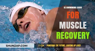 Swimming for Muscle Recovery: Benefits, Techniques, and Optimal Practices