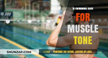 Dive into Fitness: How Swimming Sculpts Your Muscles