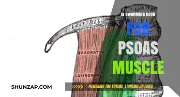 Unlocking Psoas Health: The Surprising Benefits of Swimming