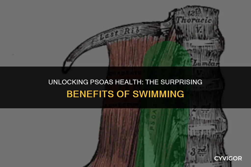 is swimming good for psoas muscle