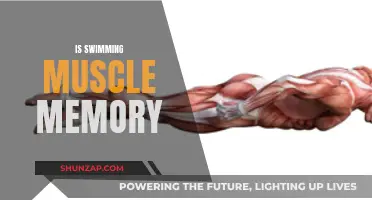 Muscle Memory in Swimming: Fact or Fiction?