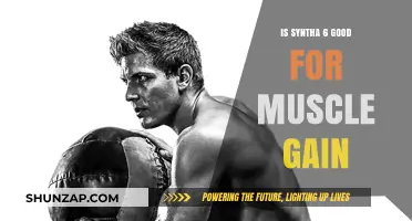 Is Syntha-6 Effective for Muscle Gain? A Comprehensive Review