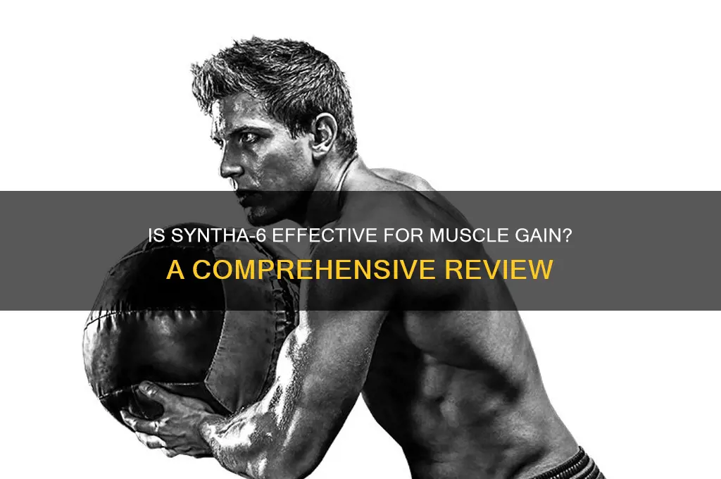 is syntha 6 good for muscle gain