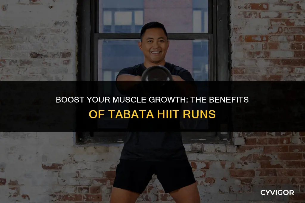 is tabata hiit run good for muscle