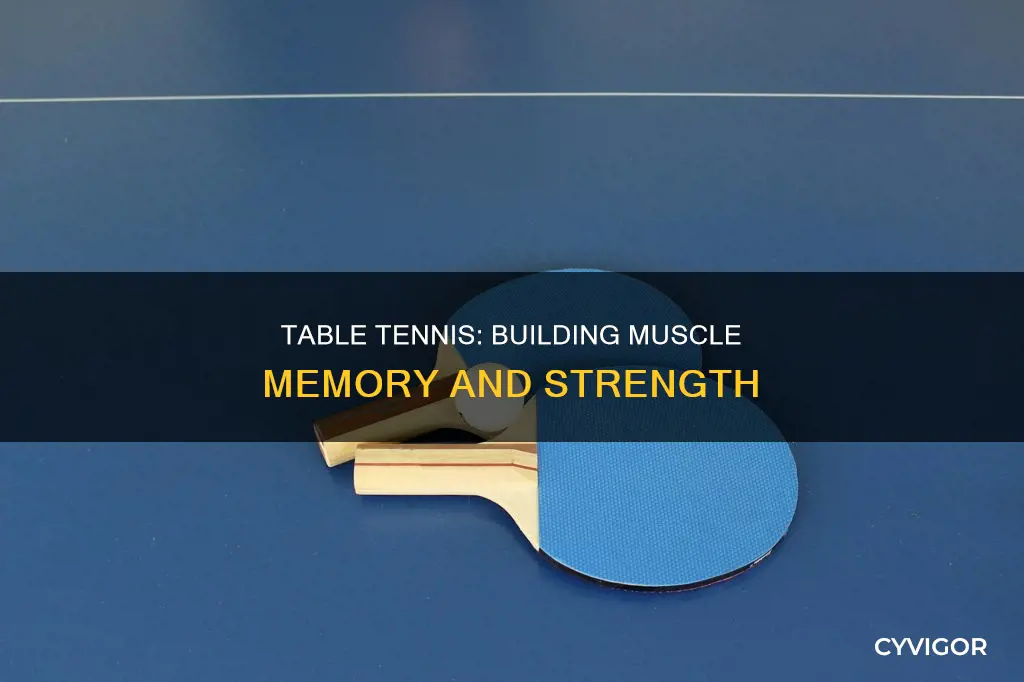 is table tennis muscles