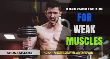 Boosting Muscle Strength: The Benefits of Collagen Supplements