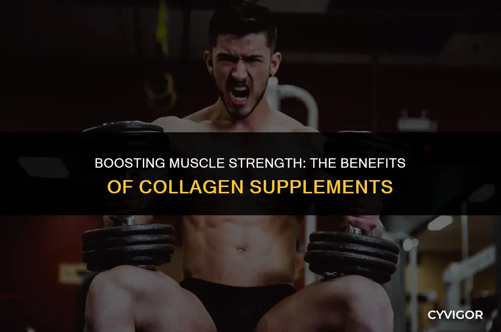 is taking collagen good to take for weak muscles