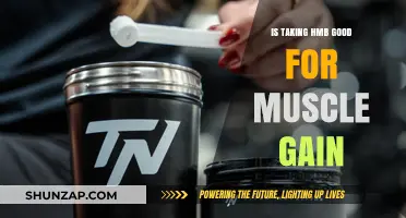 HMB for Muscle Gain: Effective Supplement or Overhyped?