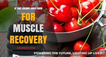 Sour Solution: Tart Cherry Juice's Role in Muscle Recovery Revealed