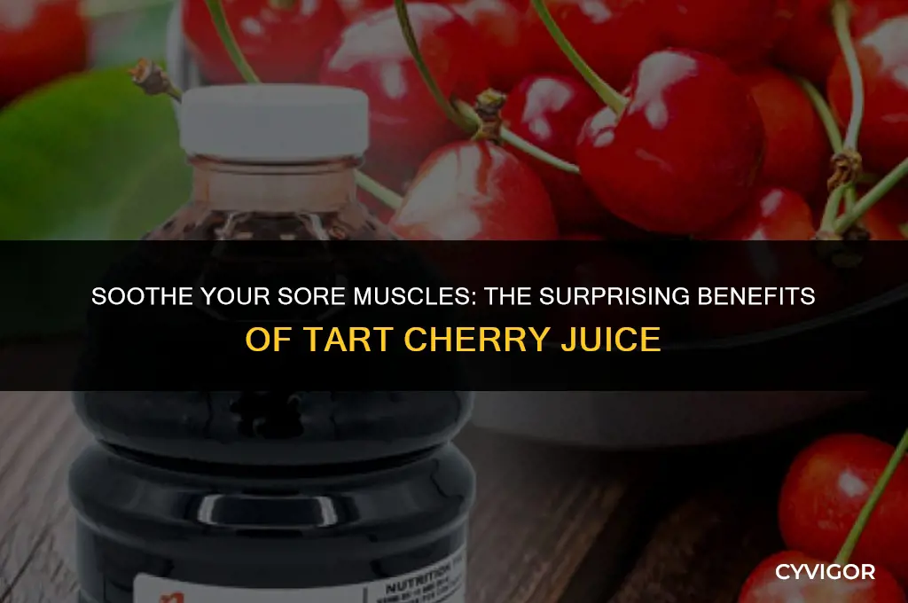 is tart cherry juice good for sore muscles
