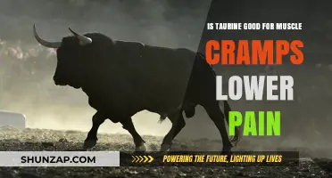 Taurine Benefits: Relieving Muscle Cramps and Lower Back Pain Naturally