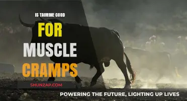 Taurine's Role in Alleviating Muscle Cramps: A Comprehensive Guide