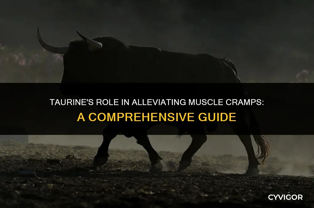 is taurine good for muscle cramps
