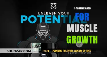 Unlocking Muscle Growth: The Surprising Benefits of Taurine