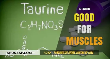 Unlocking the Power of Taurine: A Guide to Muscle Health