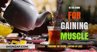Tea and Muscle Gain: Unlocking the Benefits for Strength Training