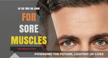Tea Tree Oil for Sore Muscles: Benefits and How to Use It