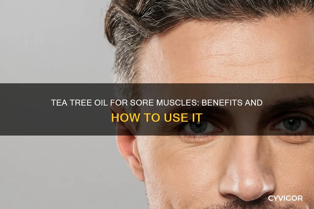 is tea tree oil good for sore muscles
