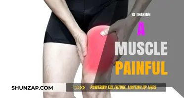 Is Tearing a Muscle Painful? Understanding the Agony and Recovery