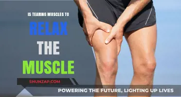 Tearing Muscles to Relax: Fact or Fiction? Unraveling the Myth
