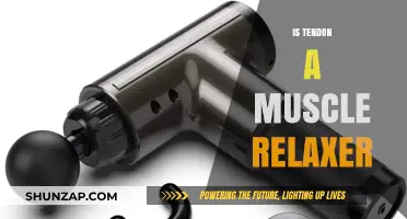 Is Tendon a Muscle Relaxer? Debunking Myths and Understanding Roles