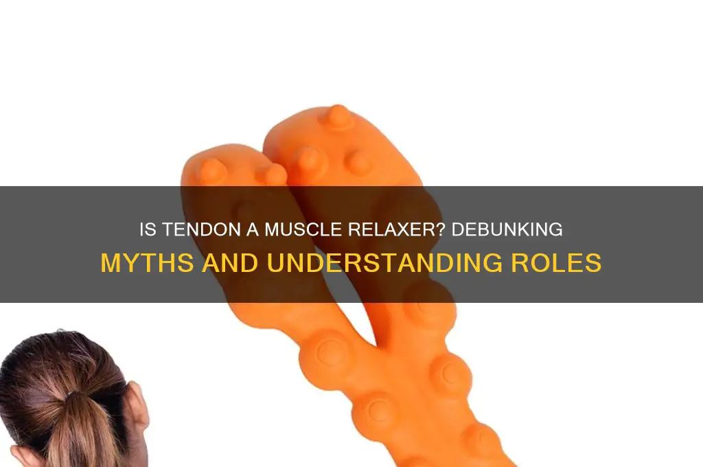 is tendon a muscle relaxer