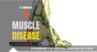 Tendonitis and Muscles: Understanding the Connection