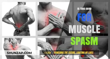 Relieving Muscle Spasms: The Benefits of Tens Therapy Explained