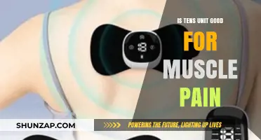 TENS Unit for Muscle Pain: Effective Relief or Just a Fad?